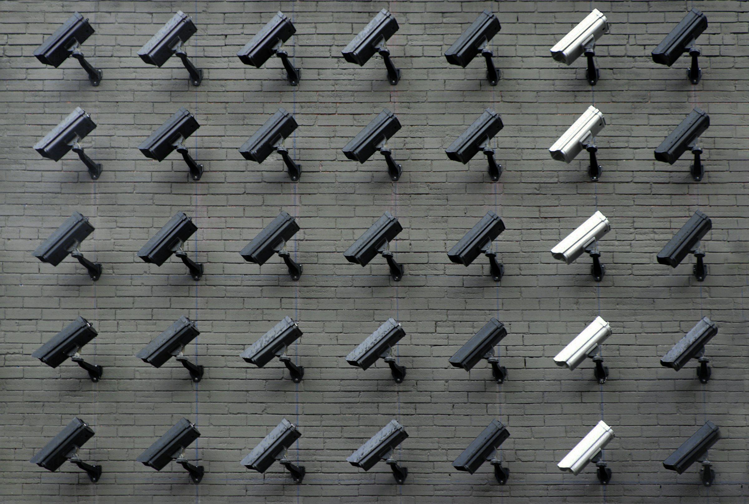 A grid of dozens of identical box surveillance cameras mounted in rows across a grey brick wall