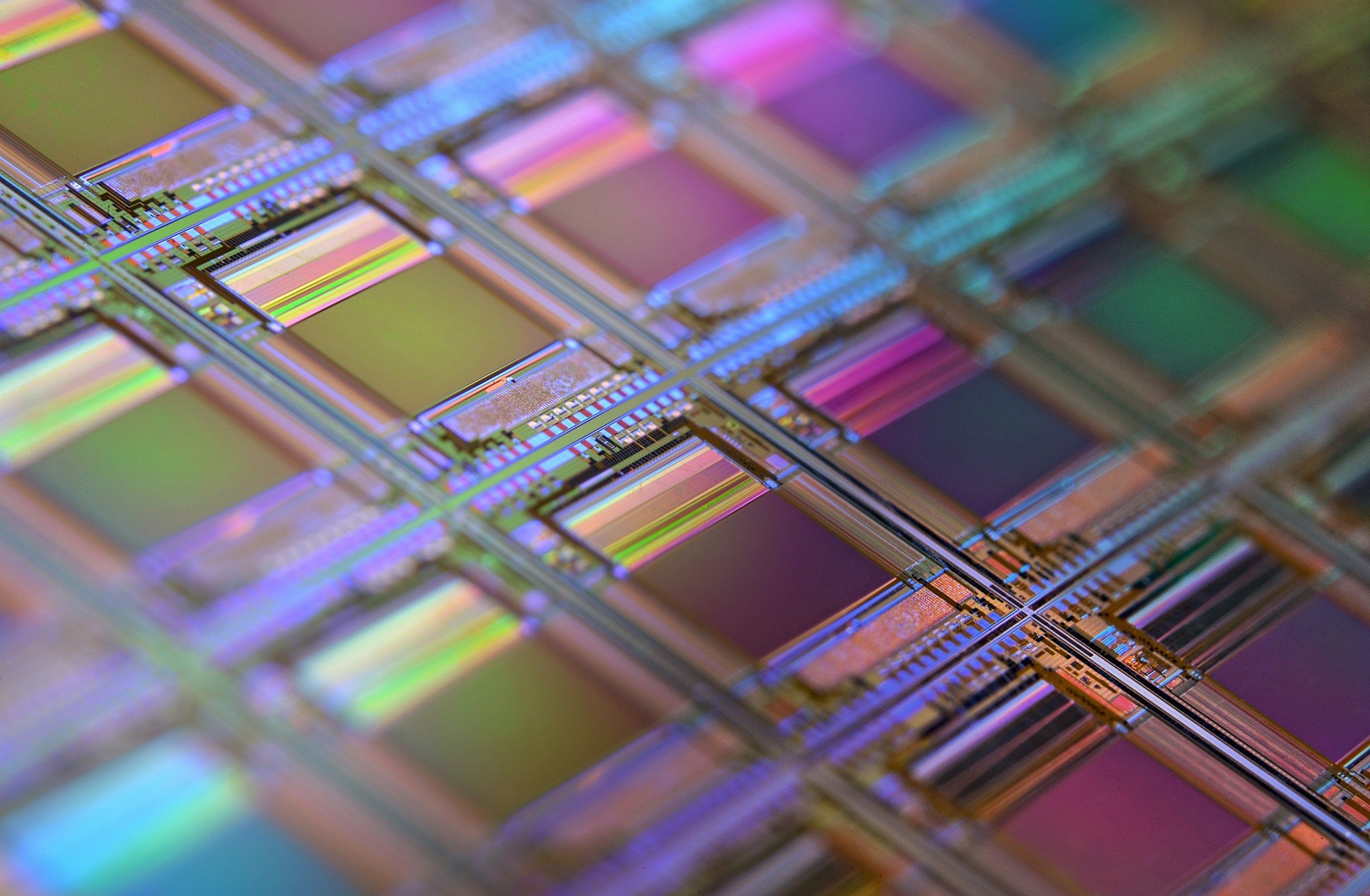 A close-up of a silicon wafer showing a grid of iridescent microchip dies