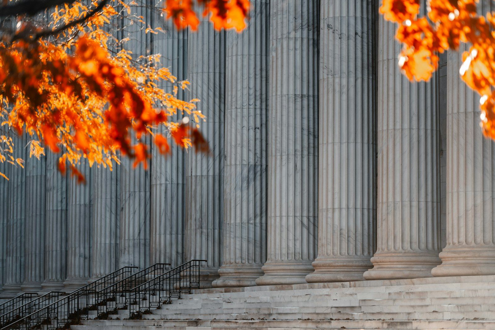 A row of stone columns above the steps of a neoclassical public building, framed by autumn leaves
