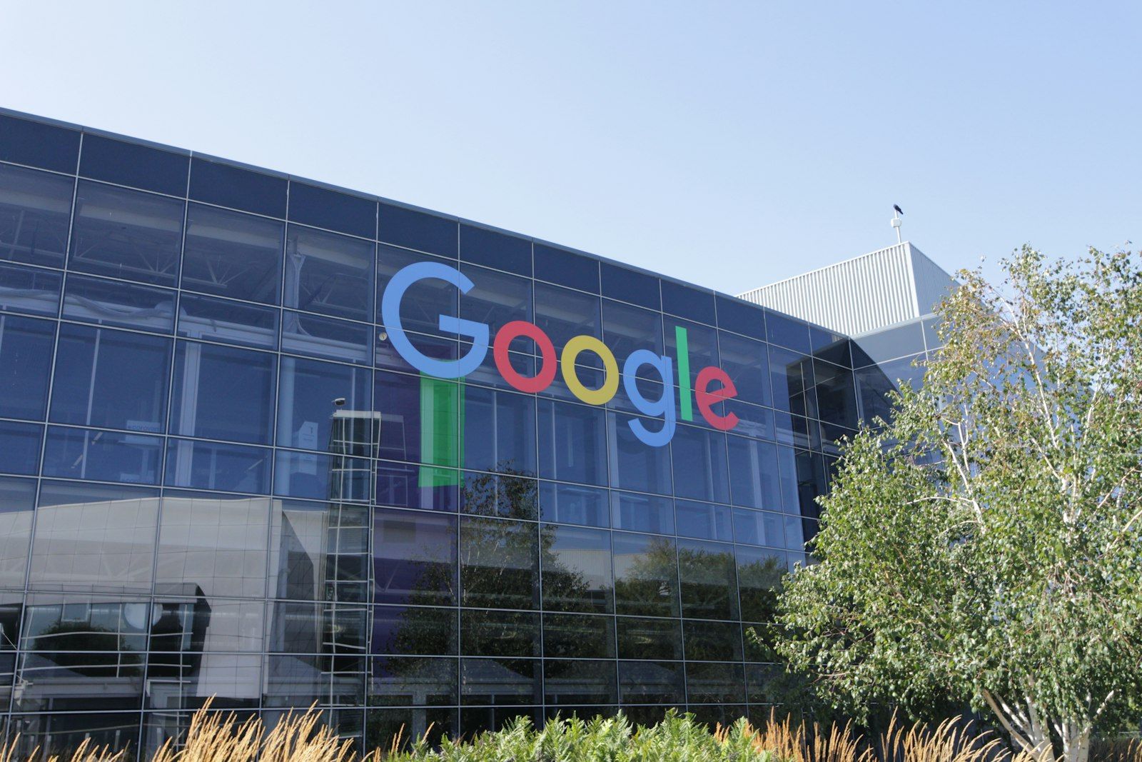 A Google office building with a glass facade and the company's coloured logo, beside a tree